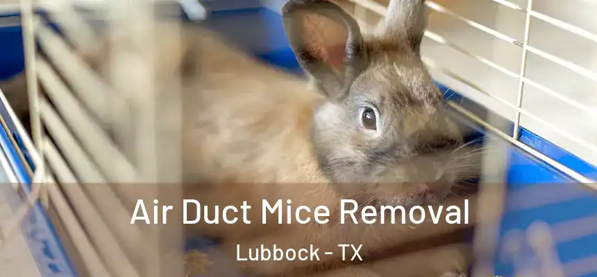  Air Duct Mice Removal Lubbock - TX