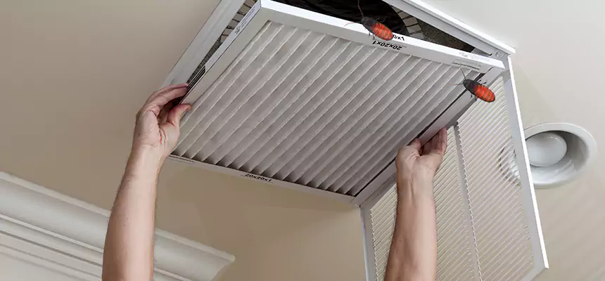 Preventive Cockroach-Proofing for Ducts in Lubbock