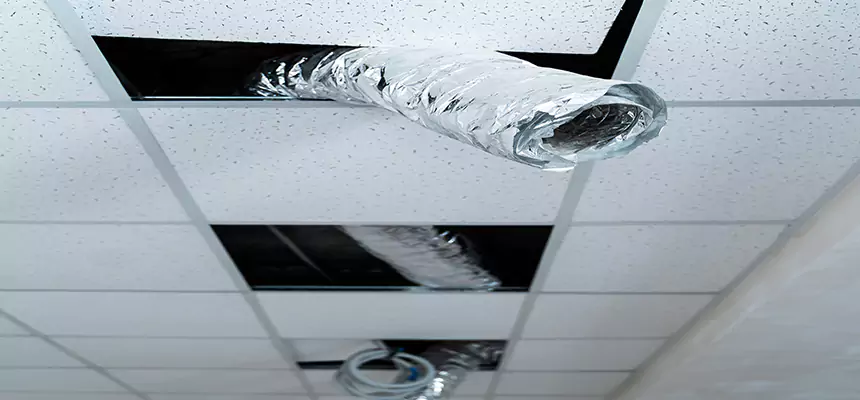 Affordable HVAC Sanitizing After Pest Removal in Lubbock