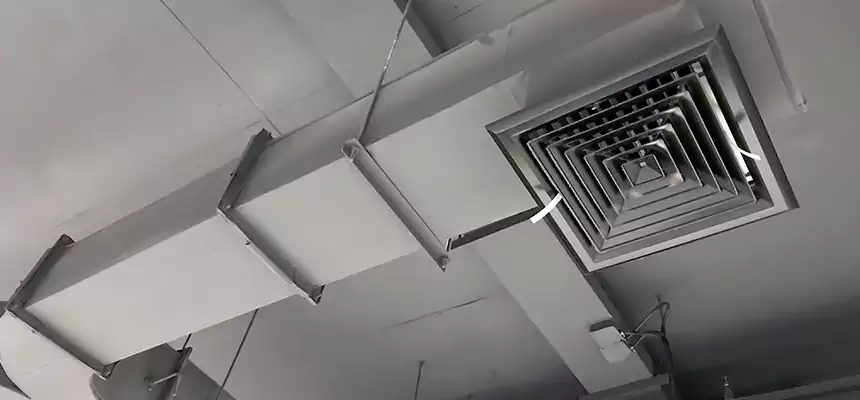 Restorative Allergy Relief Vent Cleaning – Coil, Blower & Housing Detail in Lubbock