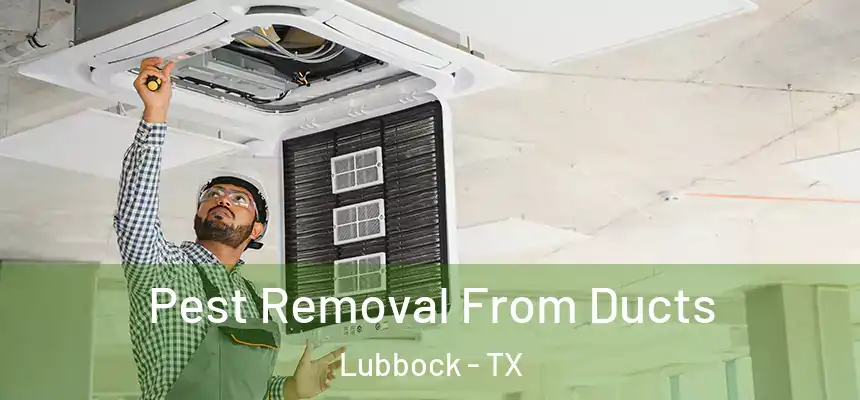  Pest Removal From Ducts Lubbock - TX