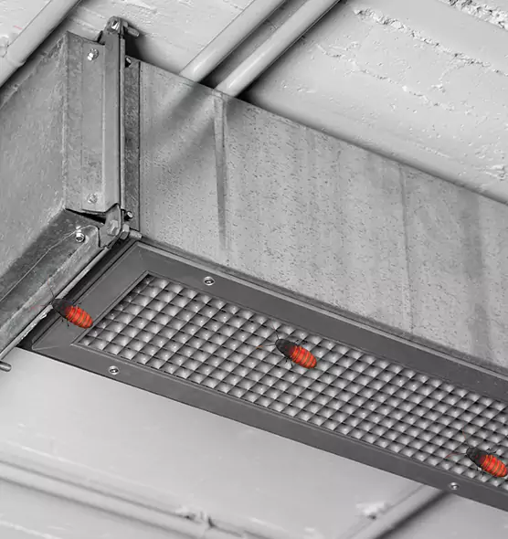 About Air Duct Cockroach Removal in Lubbock, TX