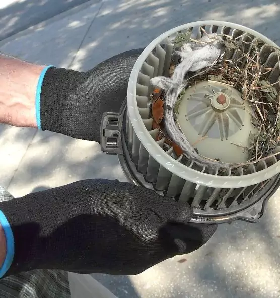 About Air Duct Mice Removal in Lubbock, TX