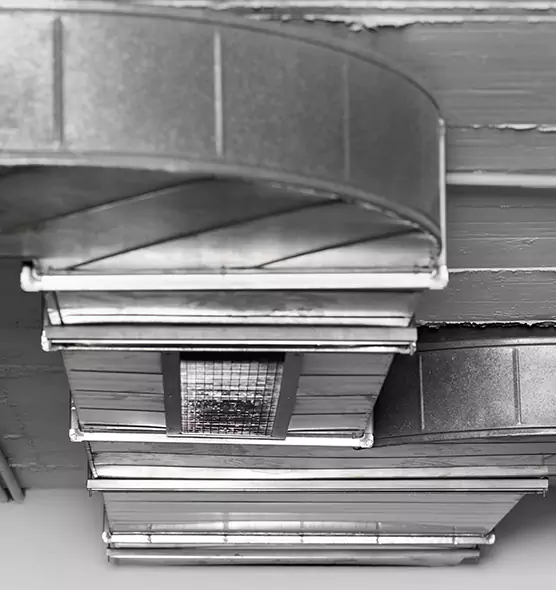 Professional Air Duct Pest Removal in Lubbock, TX