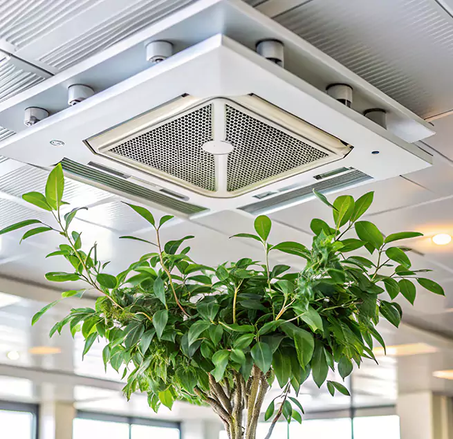 Why Homeowners & Businesses Trust Us in Lubbock, TX?